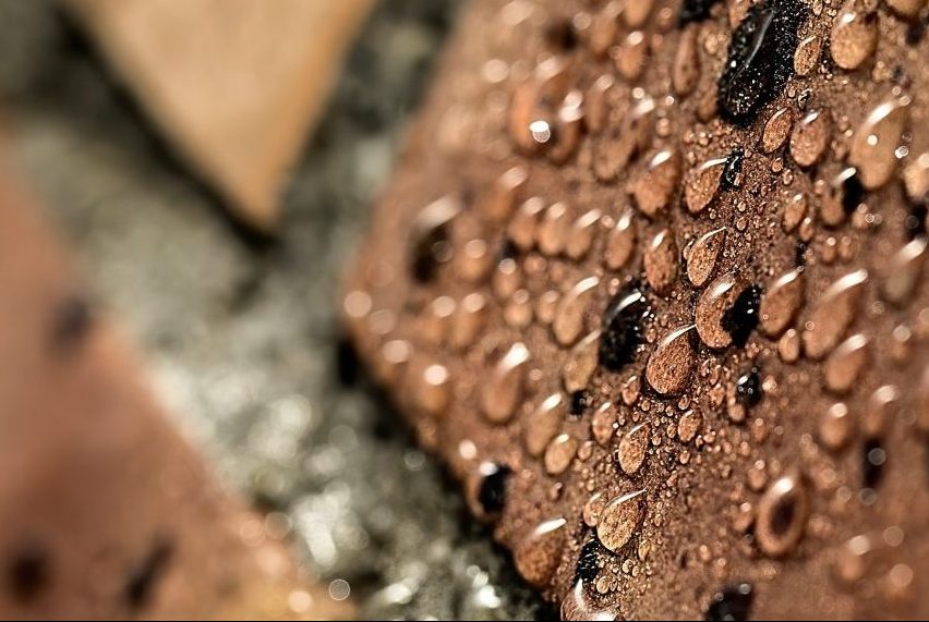 Understanding effects of plasticisers